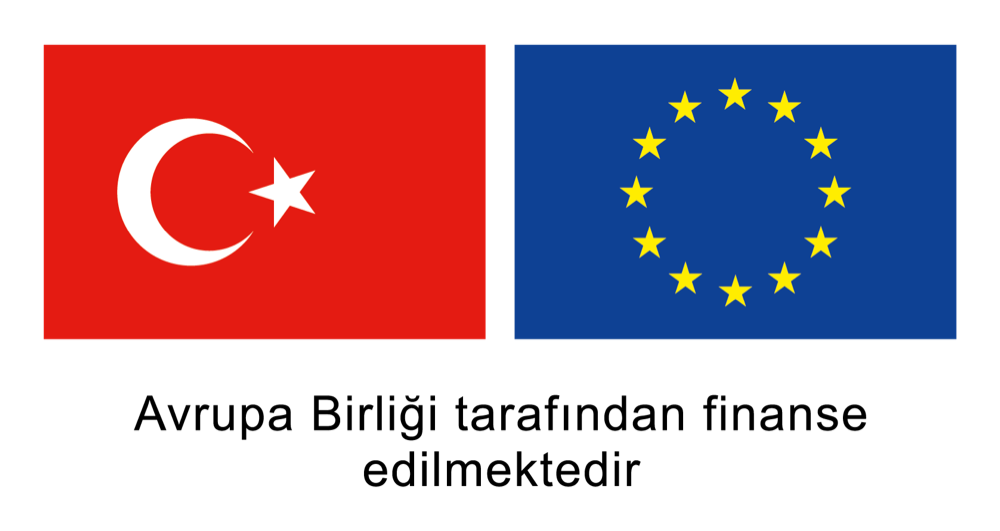 Avrupa Birliği tarafından finanse edilmektedir